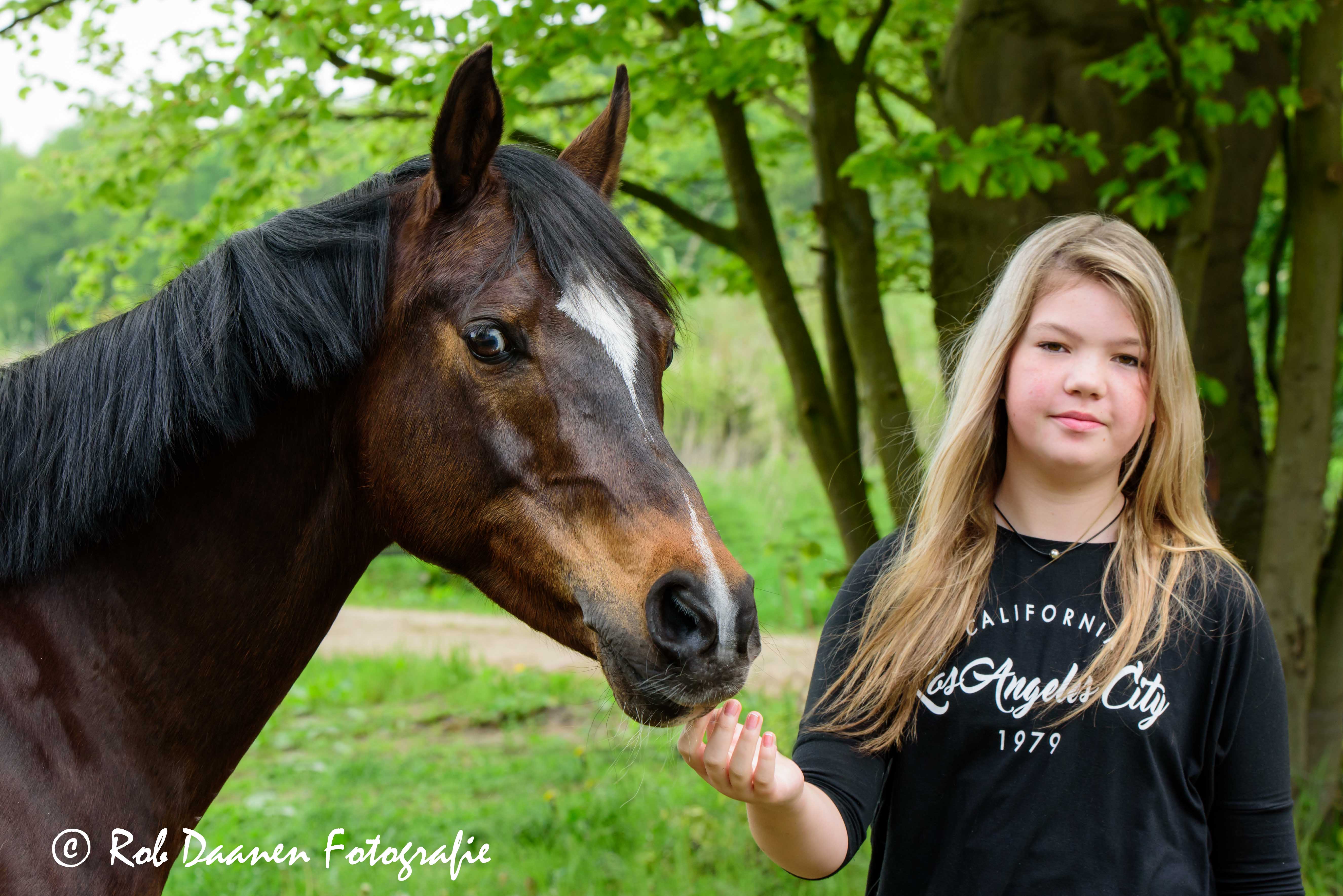 Dierenportretten Boxmeer Dierenportretten Boxmeer
